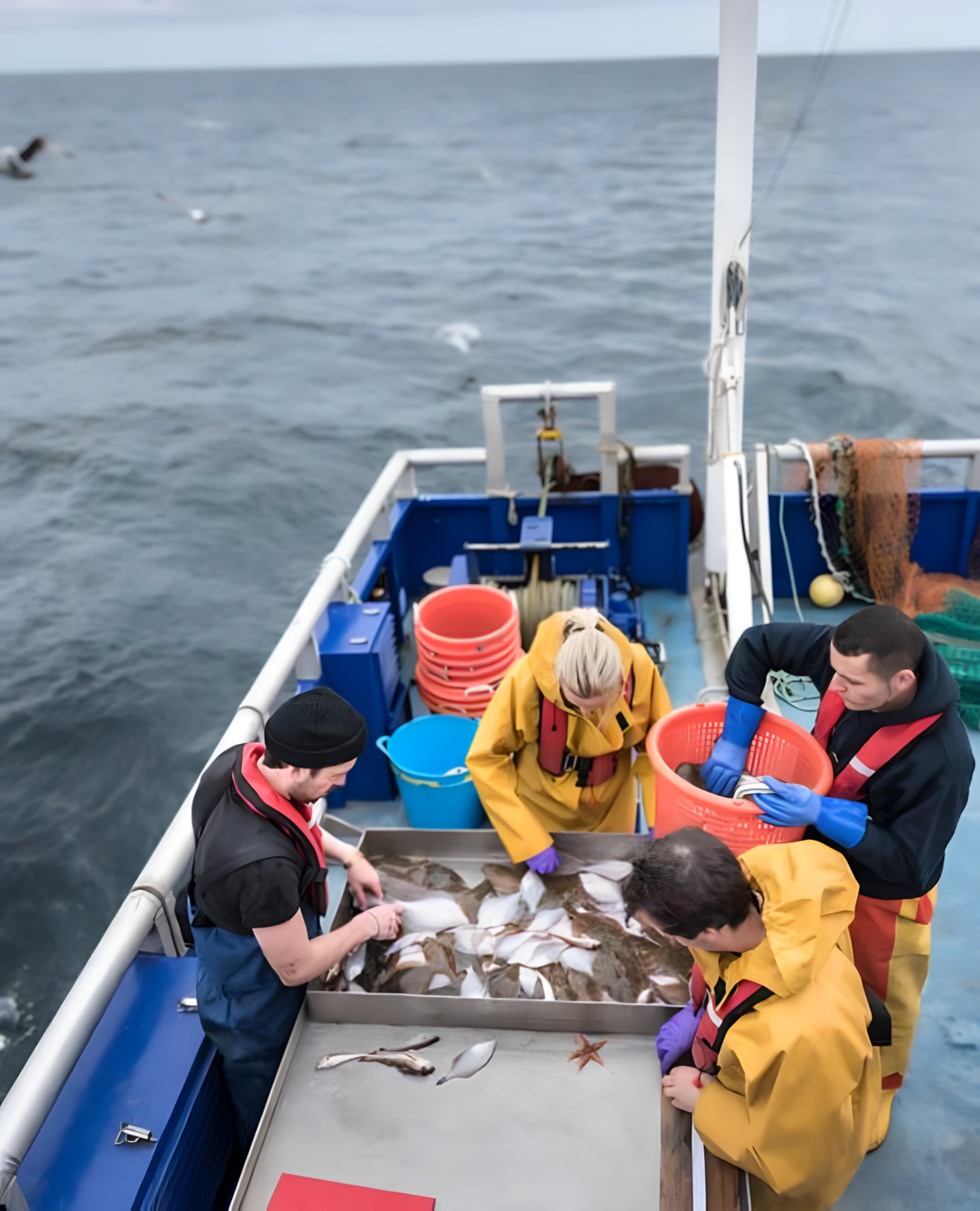 M3u playlist Content 5